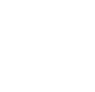 מולטיפוקל &#8211; דף נחיתה יהודה 1